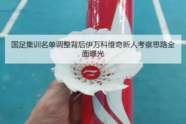 国足集训名单调整背后伊万科维奇新人考察思路全面曝光
